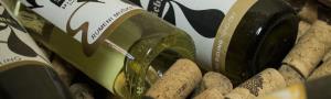 dreisiebner vino